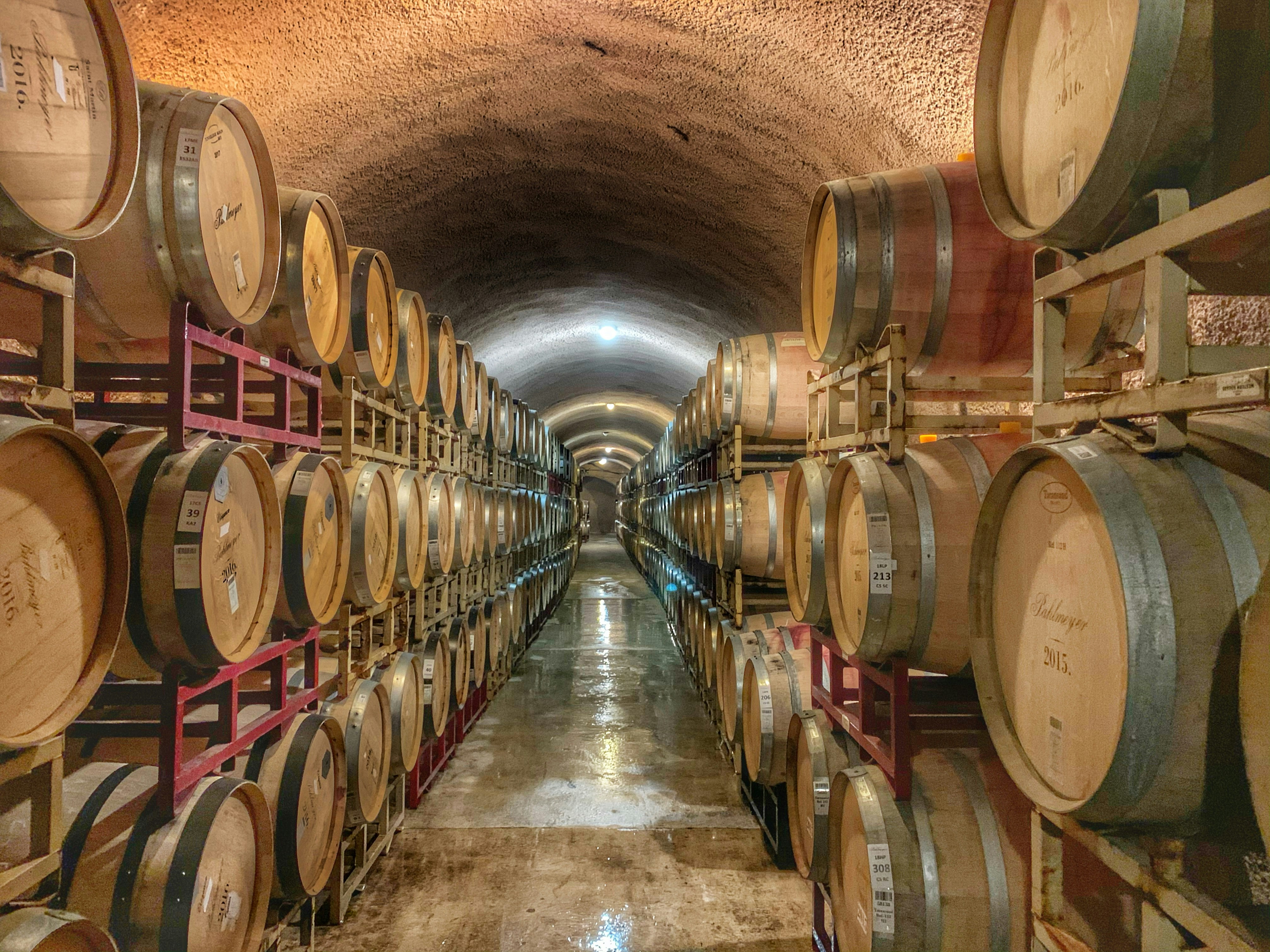 Guests enjoying a guided tasting at a Napa winery